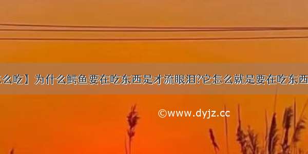 【鳄鱼怎么吃】为什么鳄鱼要在吃东西是才流眼泪?它怎么就是要在吃东西时流呢?...