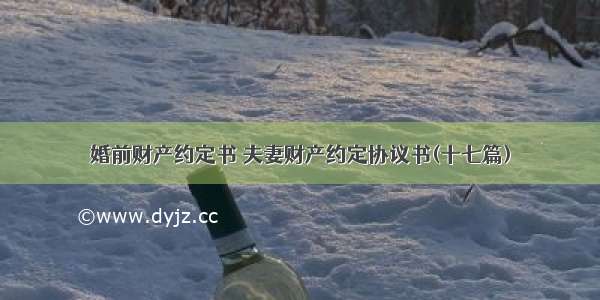 婚前财产约定书 夫妻财产约定协议书(十七篇)