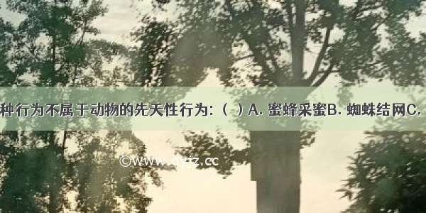 下列哪一种行为不属于动物的先天性行为: （）A. 蜜蜂采蜜B. 蜘蛛结网C. 大山雀偷