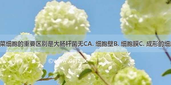 大肠杆菌与菠菜细胞的重要区别是大肠杆菌无CA. 细胞壁B. 细胞膜C. 成形的细胞核D. 细胞质