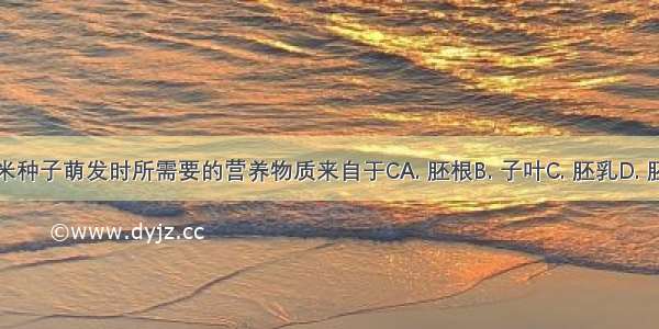 玉米种子萌发时所需要的营养物质来自于CA. 胚根B. 子叶C. 胚乳D. 胚芽