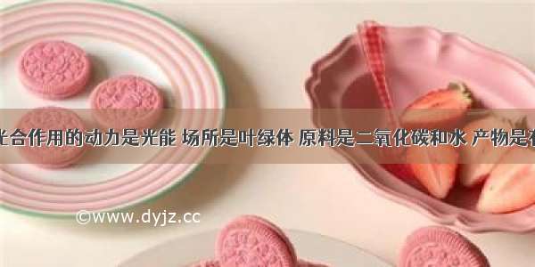 绿色植物光合作用的动力是光能 场所是叶绿体 原料是二氧化碳和水 产物是有机物和氧