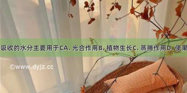 果树从根部吸收的水分主要用于CA. 光合作用B. 植物生长C. 蒸腾作用D. 使果实肥厚多汁