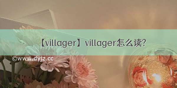 【villager】villager怎么读?