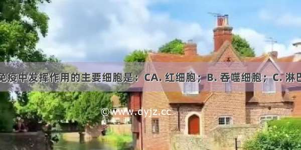 在特异性免疫中发挥作用的主要细胞是：CA. 红细胞；B. 吞噬细胞；C. 淋巴细胞；D.