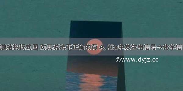 下图为突触结构模式图 对其说法不正确的有 A. 在a中发生电信号→化学信号的转变 