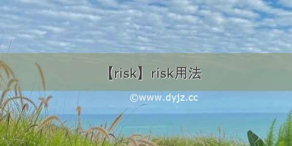 【risk】risk用法