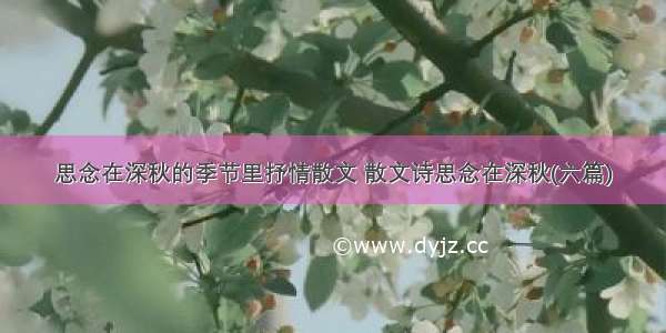 思念在深秋的季节里抒情散文 散文诗思念在深秋(六篇)