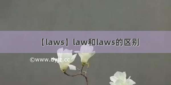 【laws】law和laws的区别