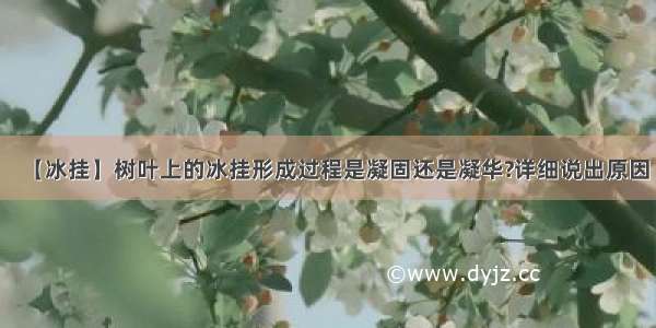 【冰挂】树叶上的冰挂形成过程是凝固还是凝华?详细说出原因