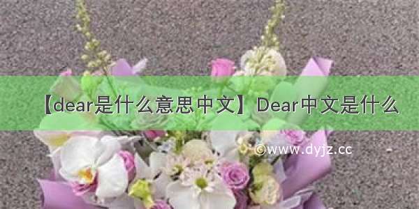 【dear是什么意思中文】Dear中文是什么