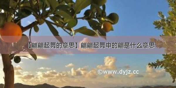 【翩翩起舞的意思】翩翩起舞中的翩是什么意思