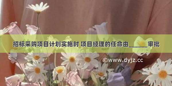 招标采购项目计划实施时 项目经理的任命由______审批