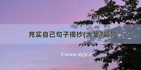 充实自己句子摘抄(大全7篇)