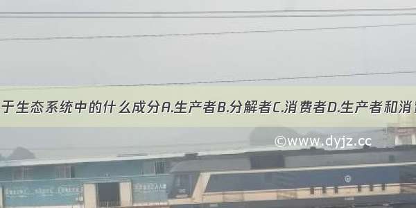 人属于生态系统中的什么成分A.生产者B.分解者C.消费者D.生产者和消费者