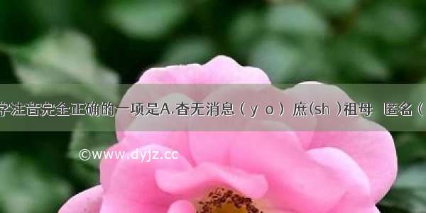 下面加线字注音完全正确的一项是A.杳无消息（yǎo） 庶(shù)祖母   匿名（nì）鞭挞