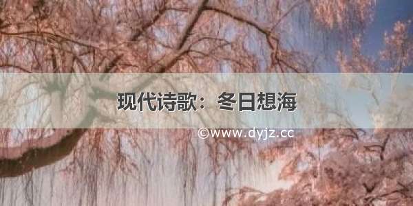 现代诗歌：冬日想海