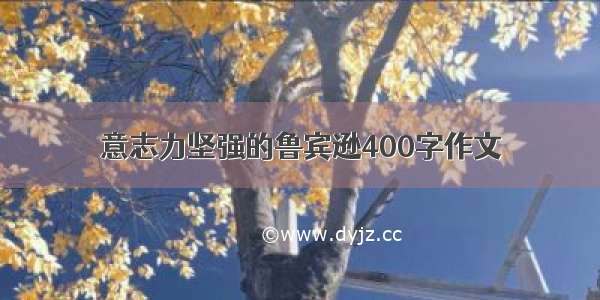 意志力坚强的鲁宾逊400字作文