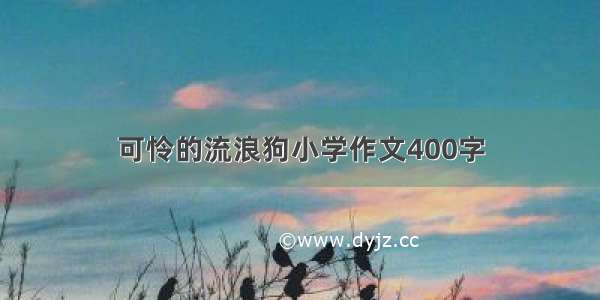 可怜的流浪狗小学作文400字