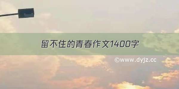 留不住的青春作文1400字