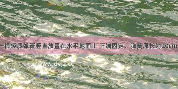 如图所示 一根轻质弹簧竖直放置在水平地面上 下端固定．弹簧原长为20cm 劲度系数k