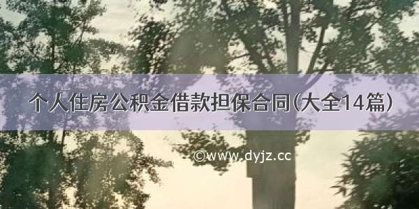 个人住房公积金借款担保合同(大全14篇)