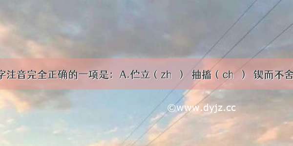 下列划线字注音完全正确的一项是：A.伫立（zhù）  抽搐（chù）  锲而不舍(qì)B.玷