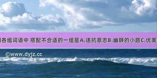 单选题下列各组词语中 搭配不合适的一组是A.违抗意志B.幽静的小路C.优美的琴声D.爱