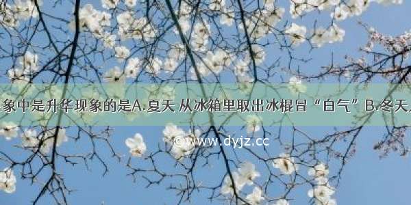 单选题下列现象中是升华现象的是A.夏天 从冰箱里取出冰棍冒“白气”B.冬天人口中呼出的